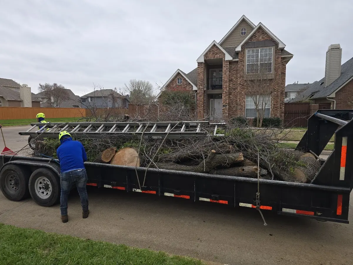Expert Lot Clearing with proper safety equipment in Lamont